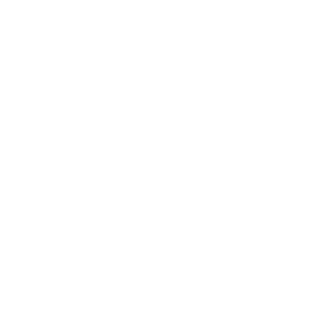 icon-sh-e